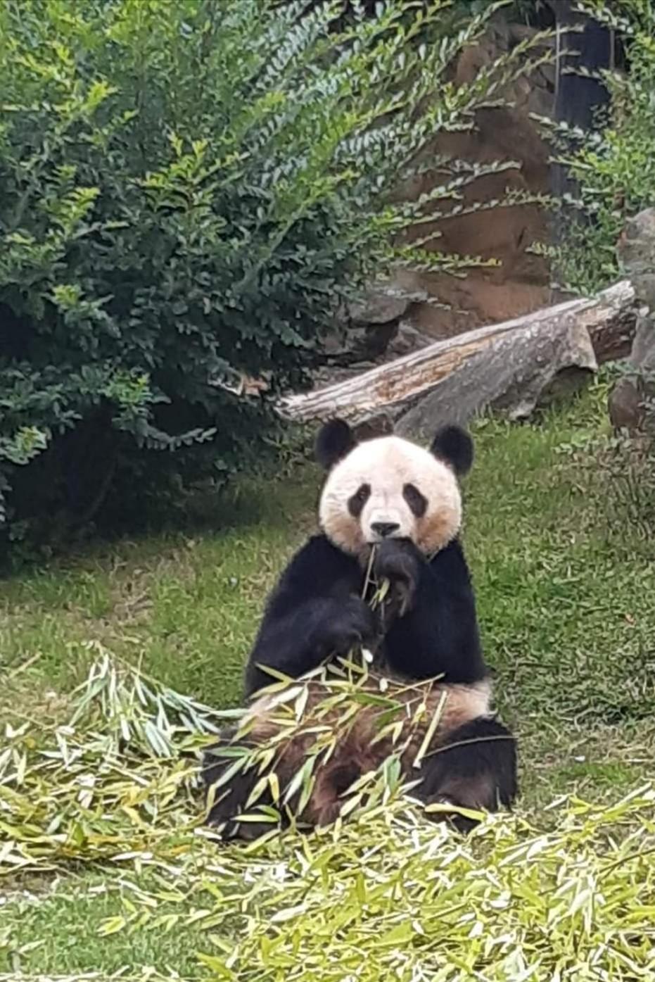 Ferienhaus La Belle Vie A 5kms Du Zoo De Beauval